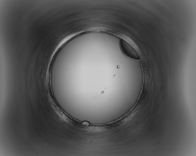 X0000086341044200704131739