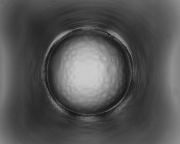 X0000086341045200704131739