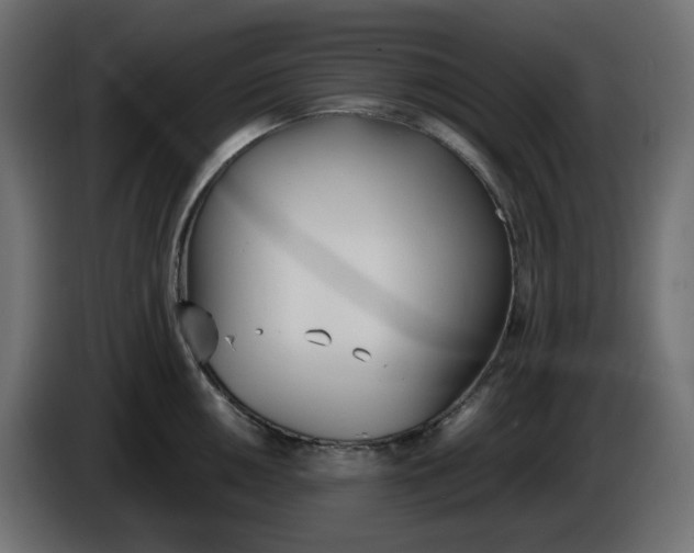 X0000086341050200704131739