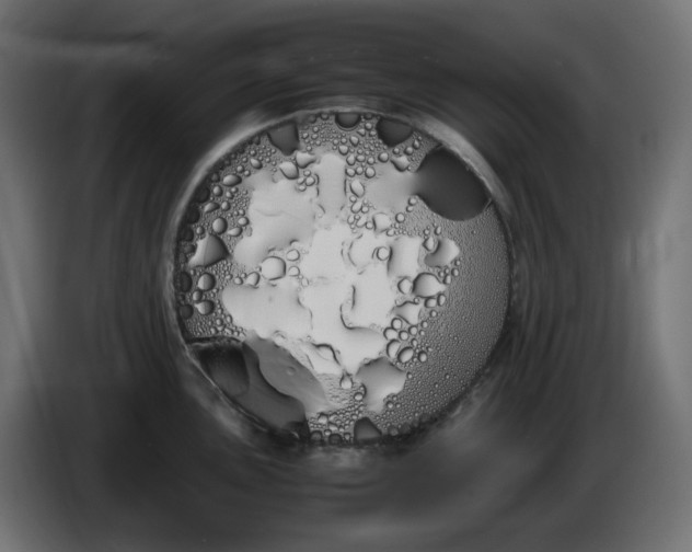 X0000086341051200704131739