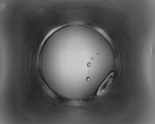 X0000086341052200704131739