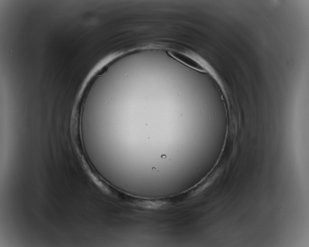 X0000086341053200704131739
