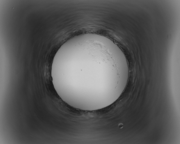 X0000086341058200704131738