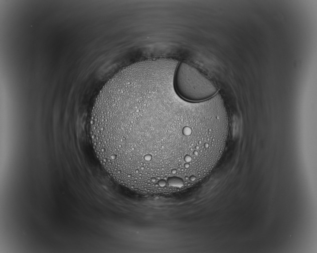 X0000086341059200704131738