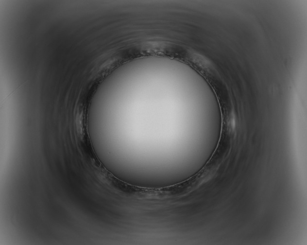 X0000086341060200704131738