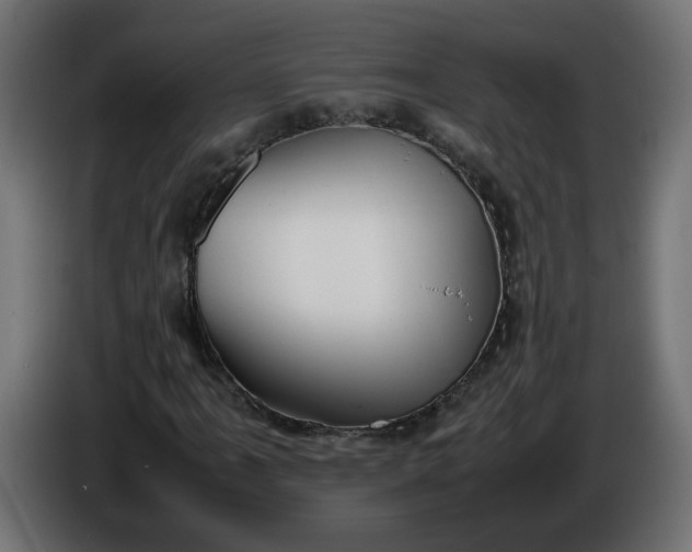 X0000086341061200704131738
