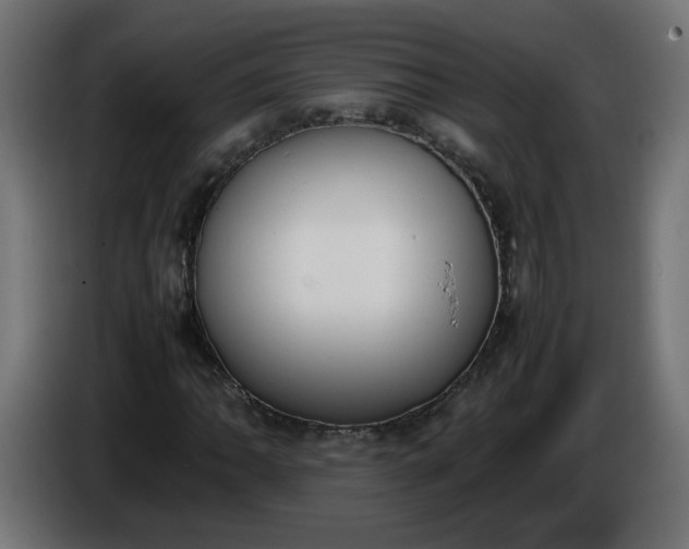 X0000086341062200704131738