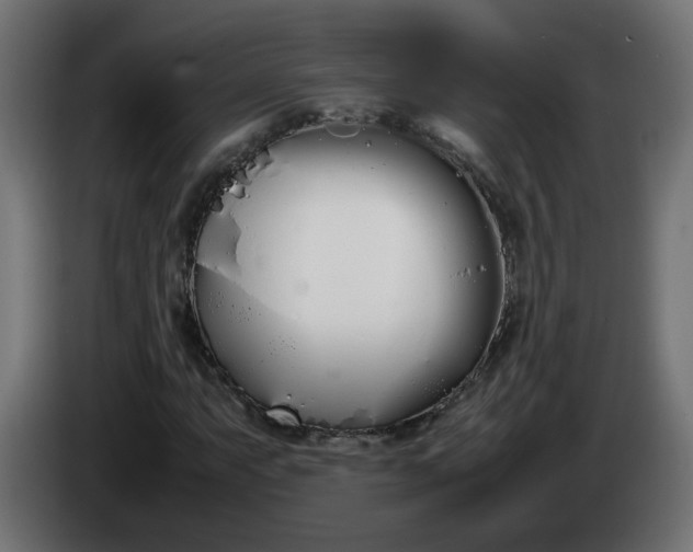 X0000086341063200704131738