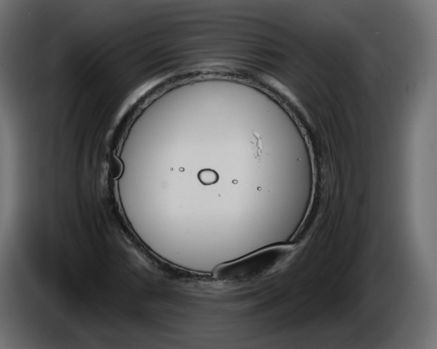 X0000086341066200704131738