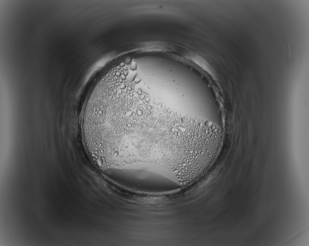 X0000086341067200704131738