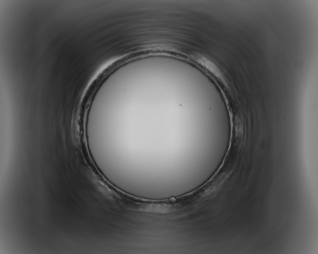 X0000086341068200704131738