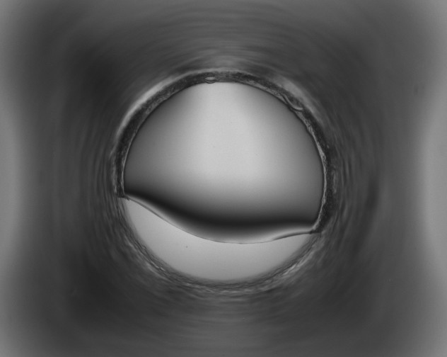 X0000086341069200704131738