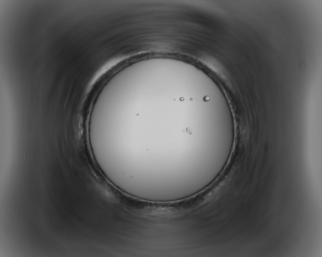 X0000086341070200704131738