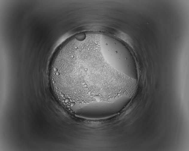 X0000086341071200704131738