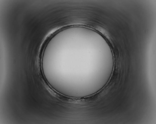 X0000086341072200704131738