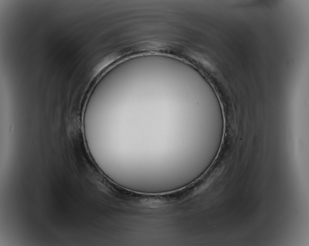 X0000086341073200704131738