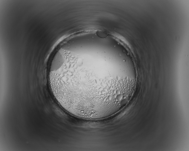 X0000086341075200704131738