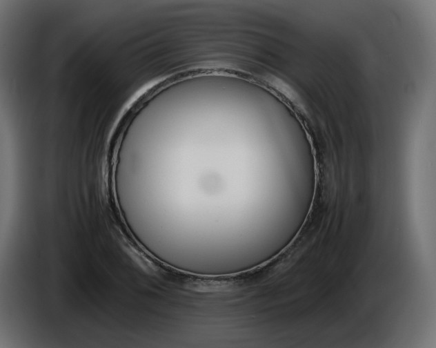 X0000086341076200704131738