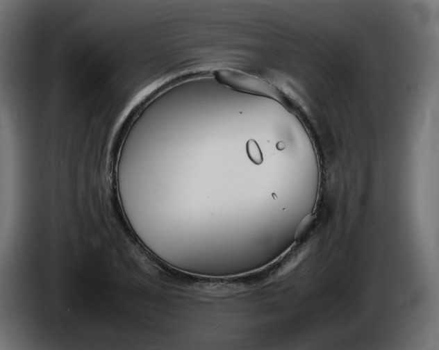 X0000086341077200704131738