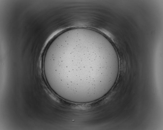 X0000086341078200704131738
