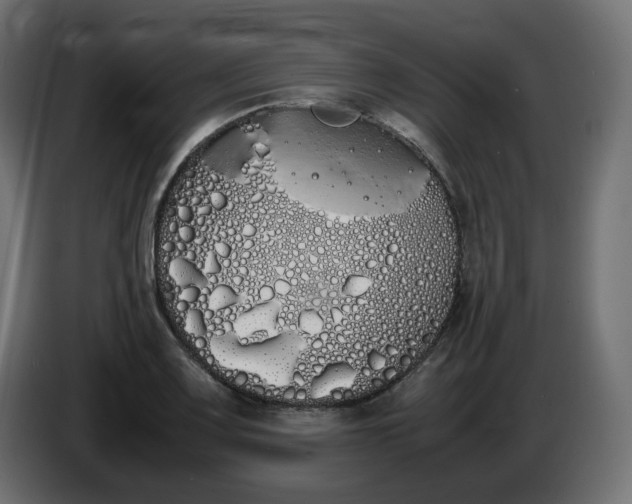 X0000086341083200704131738