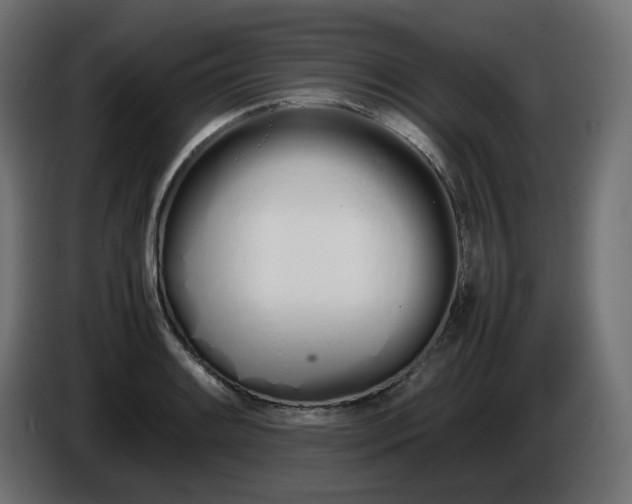 X0000086341084200704131738