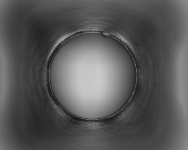 X0000086341085200704131738