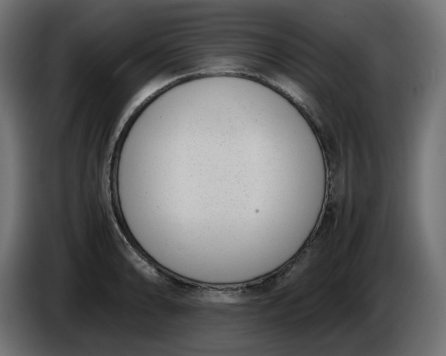 X0000086341086200704131738