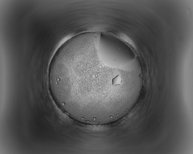 X0000086341087200704131738