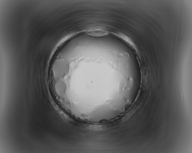 X0000086341088200704131738