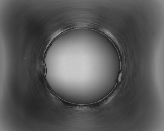 X0000086341089200704131738