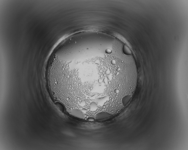 X0000086341091200704131738