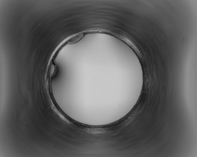 X0000086341092200704131738