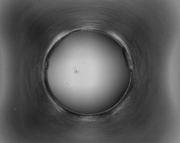 X0000086341093200704131738