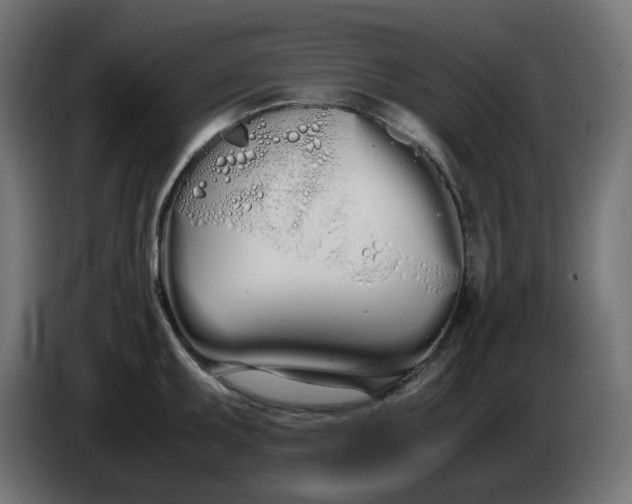 X0000086341095200704131738