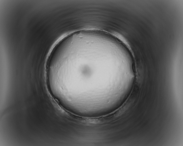 X0000086341096200704131738