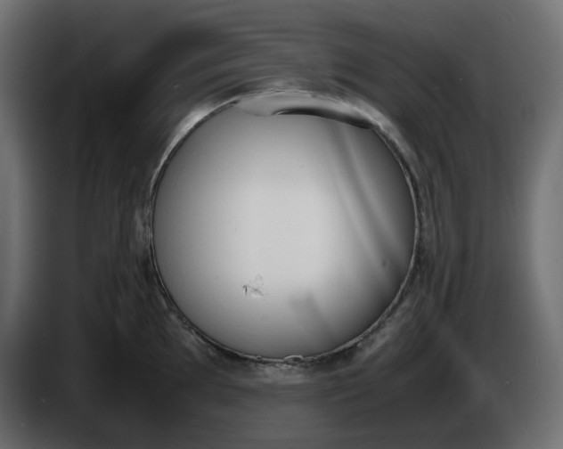 X0000086341097200704131738