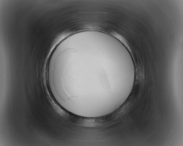 X0000086341098200704131738