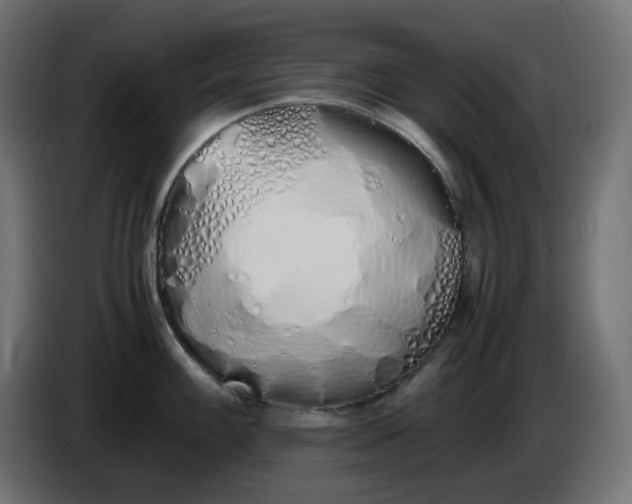 X0000086341100200704131738