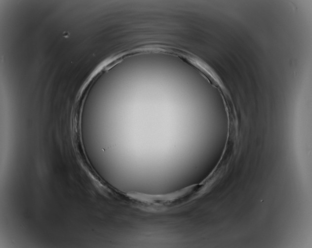 X0000086341101200704131738