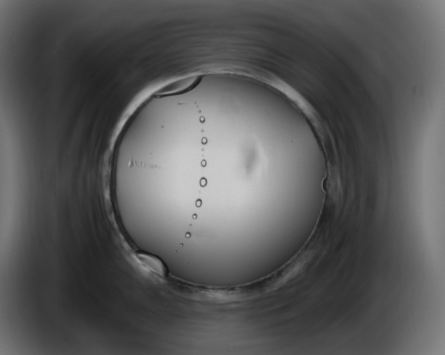 X0000086341102200704131738