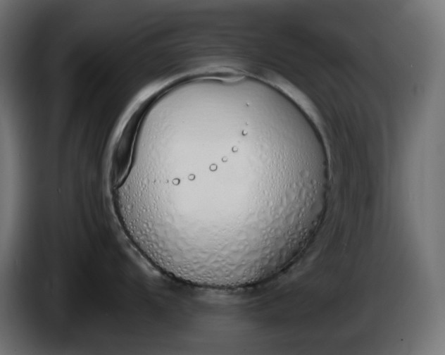 X0000086341104200704131738