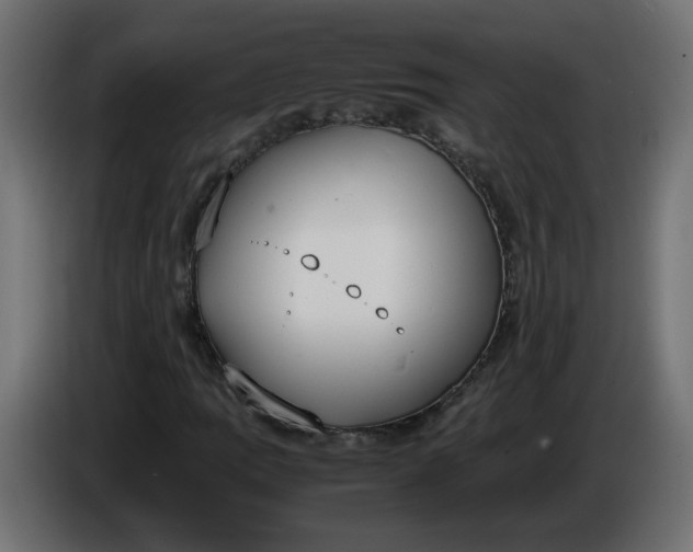 X0000086341109200704131737