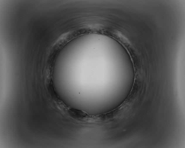 X0000086341110200704131737