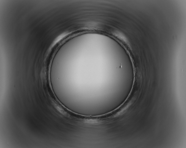 X0000086341114200704131737