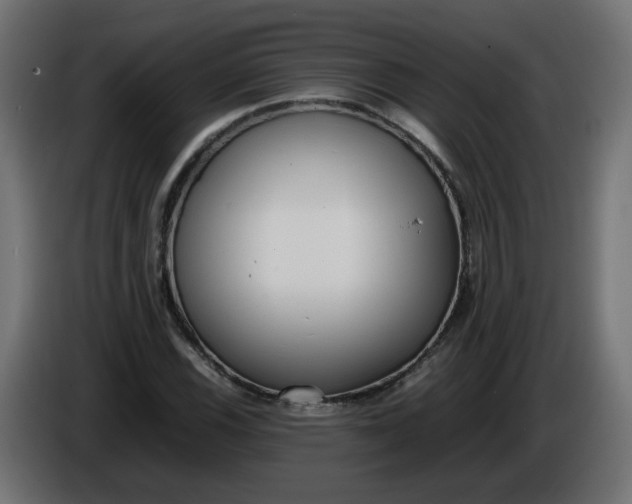 X0000086341116200704131737