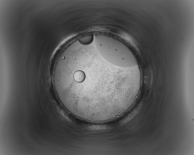 X0000086341117200704131737
