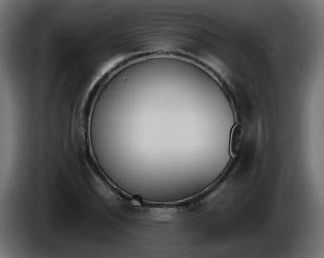 X0000086341118200704131737