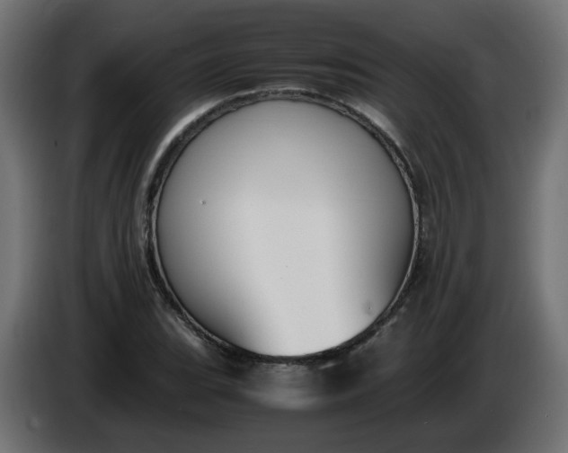 X0000086341119200704131737