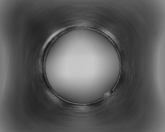 X0000086341120200704131737